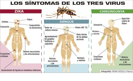 30 imágenes Zika Dengue y Chikungunya para WhatsApp Imágenes para