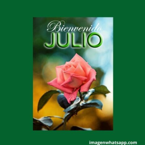 Bienvenido Julio Bonitos Carteles Del Mes De Julio Para Descargar Con