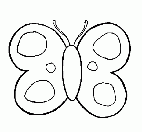 mariposa-9