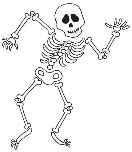 Esqueletos tipo mexicanos, Calacas, Catrinas y calaveras para pintar o  compartir en Halloween o Día de los Muertos | Imágenes para whatsapp