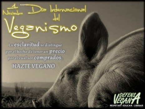 veganismo.jpg8