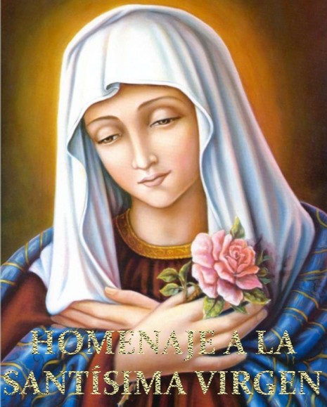  Imágenes de la Virgen María para WhatsApp con oraciones   de diciembre