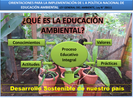 educacion-ambiental-2-728.jpg5