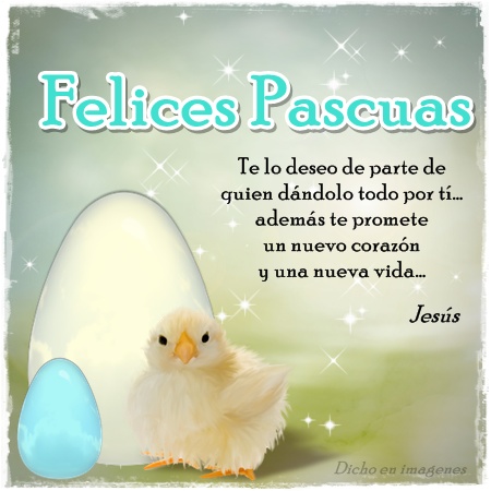 Felices-pascuas-amor-Imagenes-con-Frases.jpg4