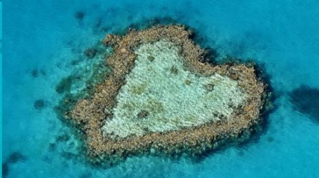 corazon Arrecife Corazón, Australia1