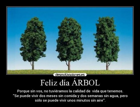 arbol1