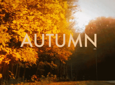 autumntumblr_nc1t36fxab1rrjt38o1_500