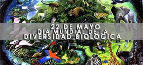 biodiversidadDia-Internacional-de-la-Diversidad-biológica