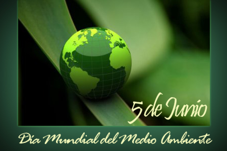 mediodia-mundial-medio-ambiente-2013