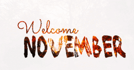 novi135939-Welcome-November