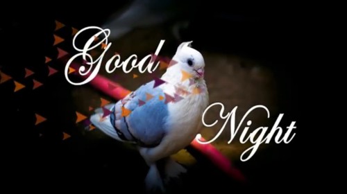 GOOD NIGHT- BUENAS NOCHES frases e imágenes | Imágenes para whatsapp