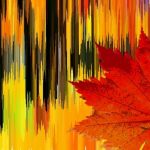 Espectaculares paisajes de otoño para el fondo de pantalla
