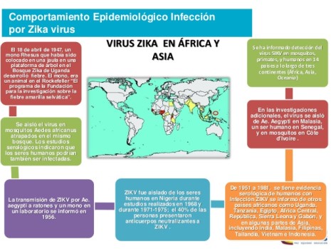 zikavirus-3-638