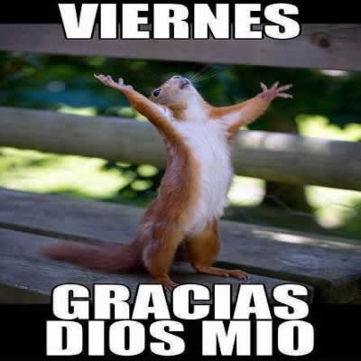 imagenes-graciosas-por-fin-es-viernes