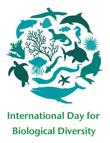 International-Day-for-Biological-Diversity