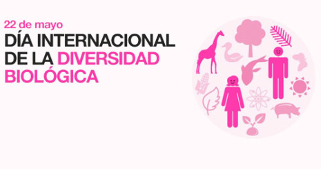 dia_internacional_de_la_diversidad_biologica_medio_ambiente_ecologia_biodiversidad