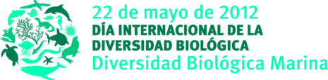 idb-2012-logo-es-print