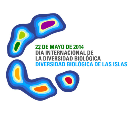 idb-2014-logo-es