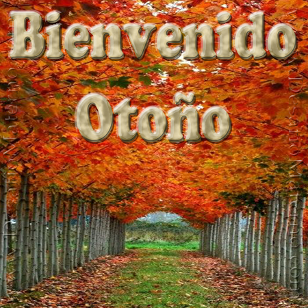 Imágenes y frases para recibir el Otoño 2022: Bienvenido otoño | Imágenes  para whatsapp