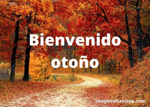 Imágenes y frases para recibir el Otoño 2023: Bienvenido otoño | Imágenes  para whatsapp