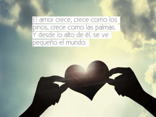 200 frases de amor para WhatsApp de enamorados | Imágenes para whatsapp