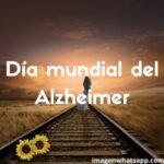 Día mundial del Alzheimer: Mejores mensajes para el 21 de septiembre