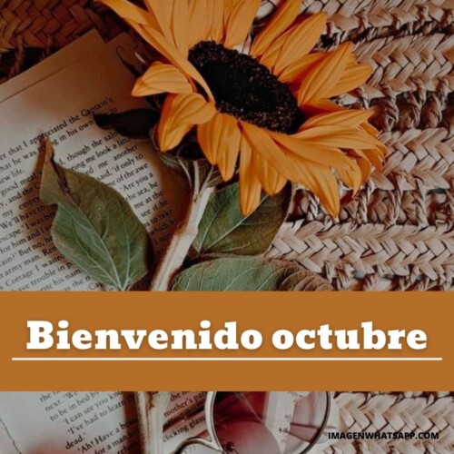 Bienvenido octubre 2023: Frases, imágenes, mensajes | Imágenes para whatsapp