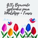 GIFs Bienvenido septiembre para WhatsApp + Frases