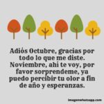 Imágenes Bonitas De Adiós Octubre, Bienvenido Noviembre, Feliz ...